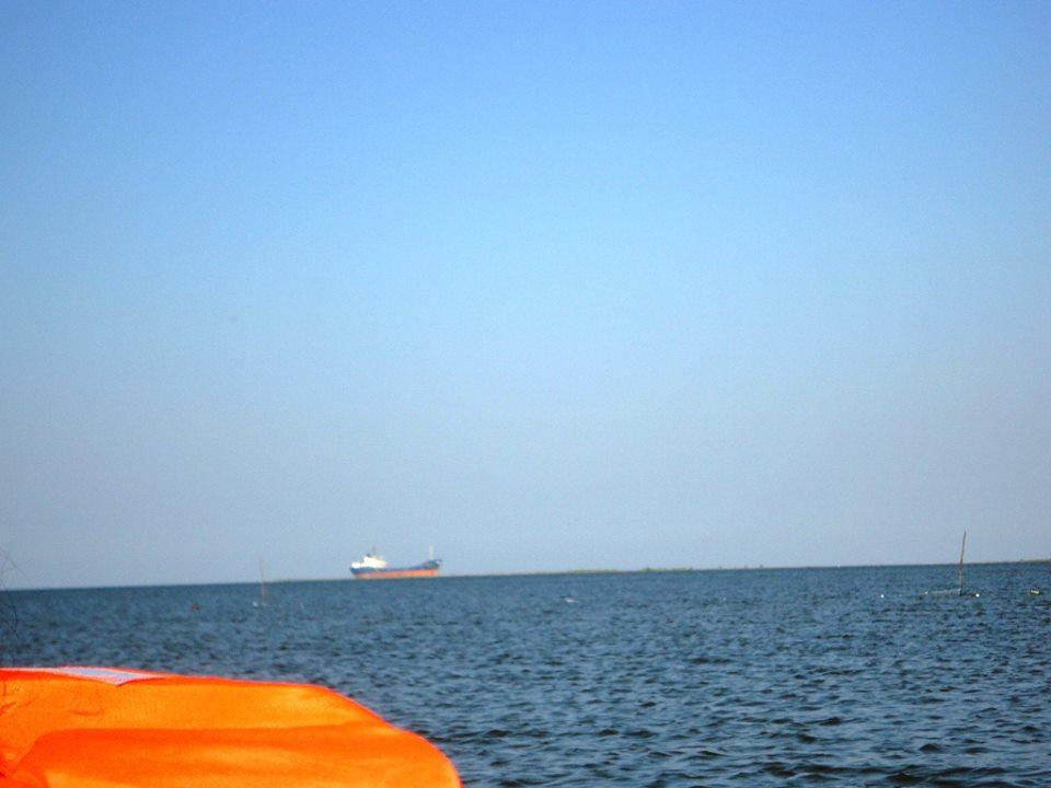 PLIMBARI IN DELTA  - 10056001.jpg